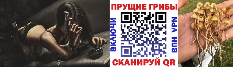 Галлюциногенные грибы мицелий  Купить  Красный Холм 